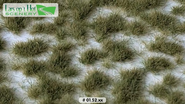 Grasbüschel Frühherbst kurz 15 x 21 cm