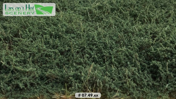 Büsche wintergrün hoch 15 x 21 cm