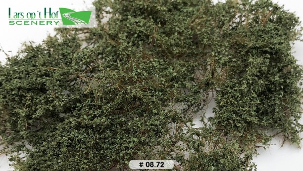 Dornensträucher - Olivgrün