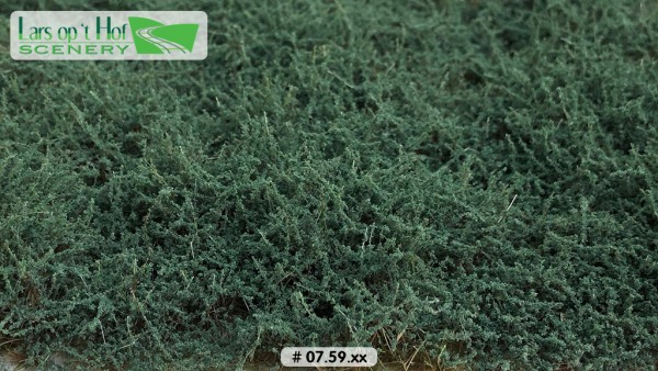 Büsche salbeigrün hoch 15 x 21 cm