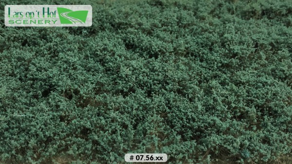Büsche salbeigrün niedrig 15 x 21 cm