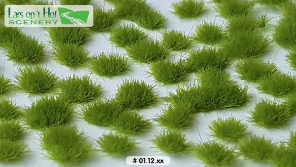 Grasbüschel Vorfrühling kurz 15 x 21 cm