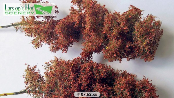 Büsche Herbst - rot